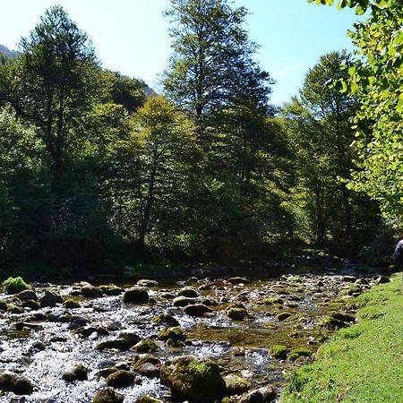 Gites Communaux A Lourdios Eksteriør billede