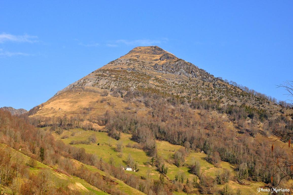 Gites Communaux A Lourdios Eksteriør billede