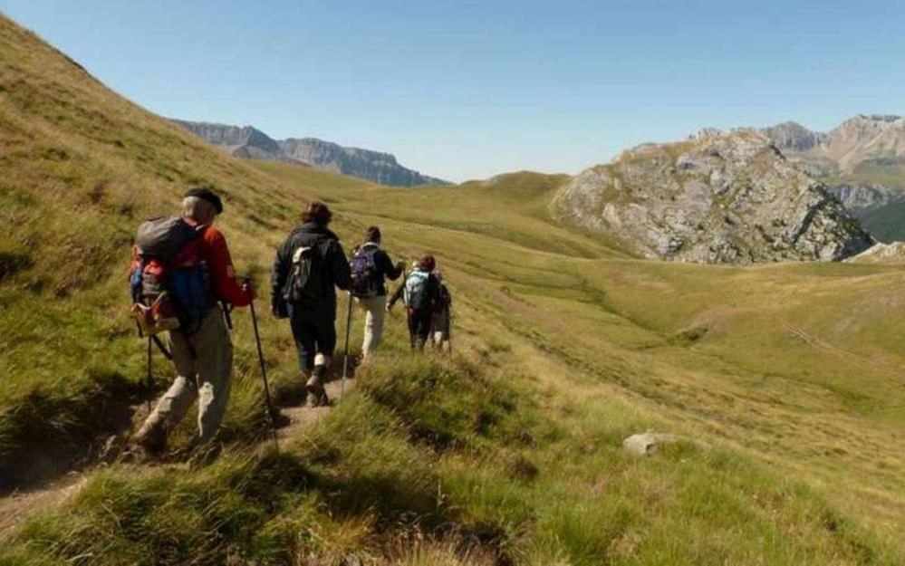 Gites Communaux A Lourdios Eksteriør billede